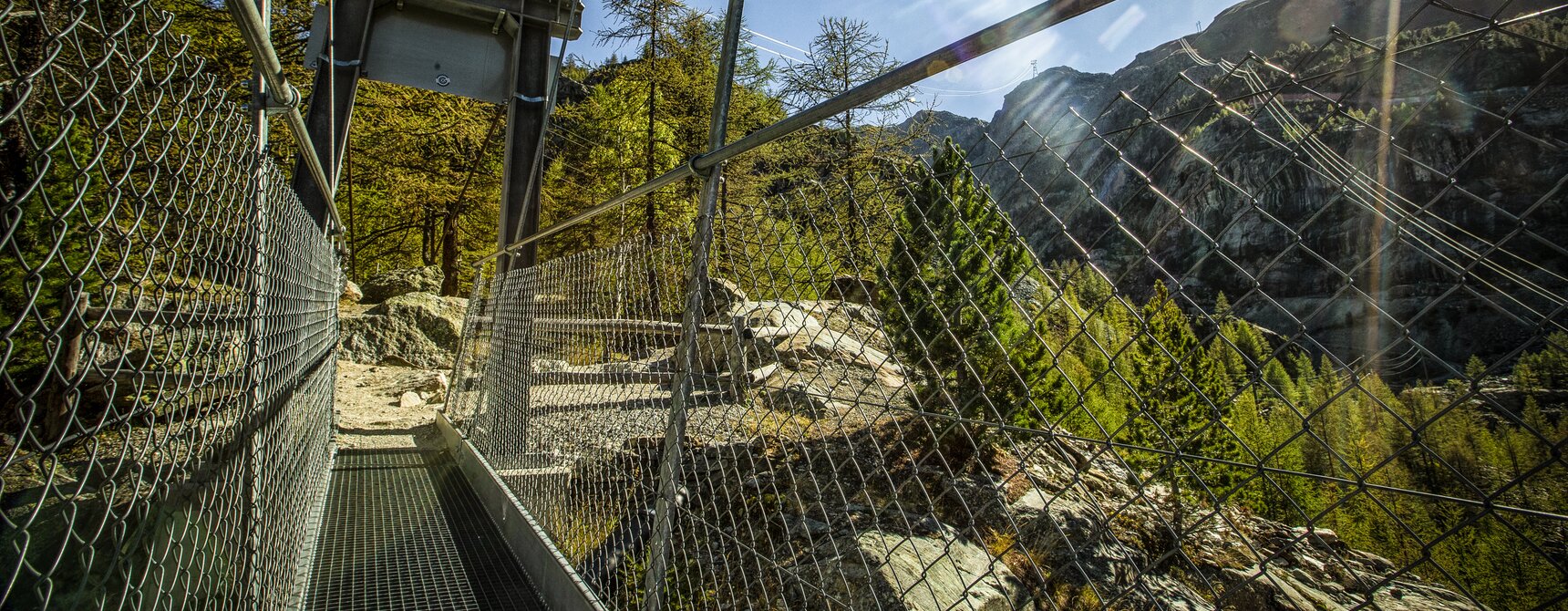 Hängebrücke Furi mit Blick auf die "Dossen". Im HIntergrund thronen Felsen und Lärchen | © Andrea Soltemann