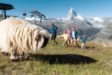 Eine Familie wandert inmitten der Zermatter Fauna und Flora. 