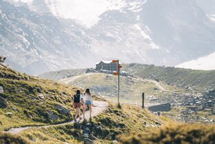 Les hôtes s'orientent grâce aux panneaux jaunes indiquant les différents sentiers de randonnée | © Gabriel Perren